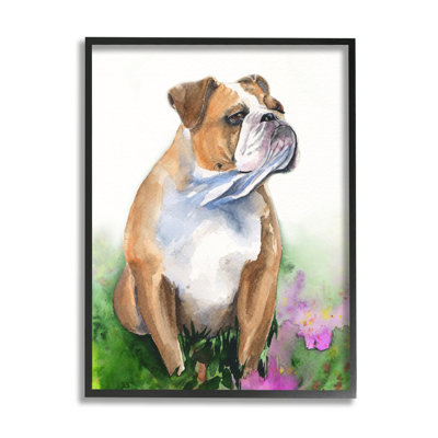 Bouledogue anglais, fleurs d'herbe, aquarelle douce
