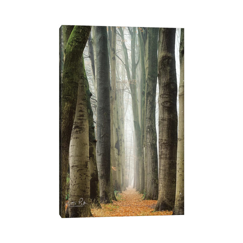 Narrow Alley In The Netherlands by Martin Podt - Wrapped Canvas Print, 101.6 cm H x 66.04 cm W