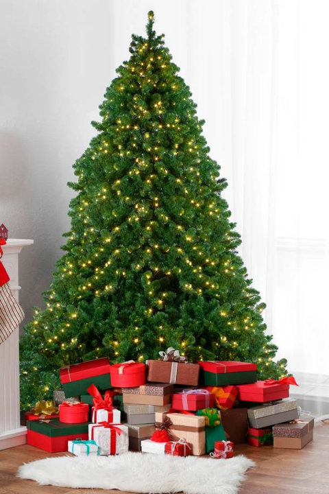 Christmas Trees