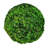 Jayceon 4" Real Preserved Cockscomb Topiary Decorative Orbs – Set of 3