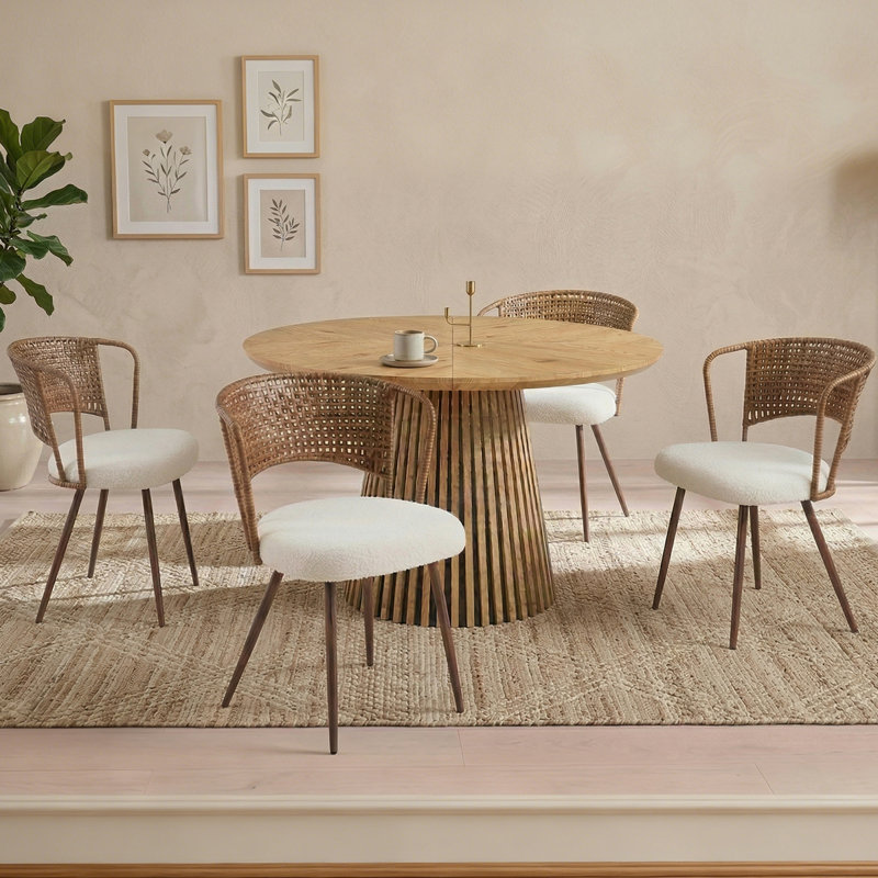 Chaises de salle à manger confortables en rotin et en métal de style maison de campagne pour la maison de cuisine