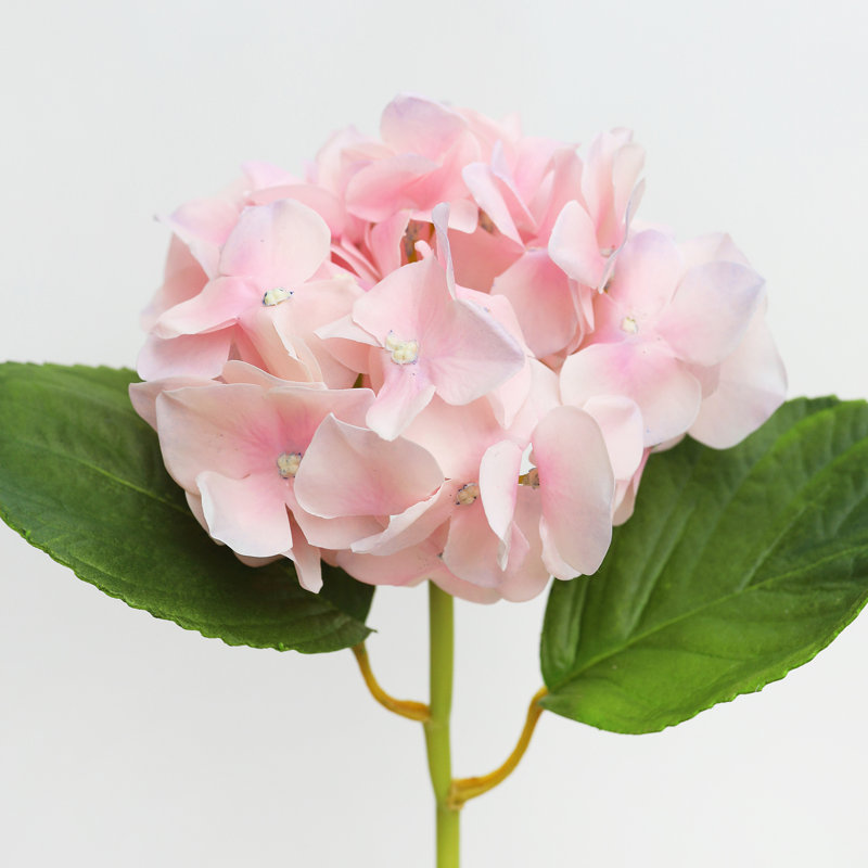 Hortensia rose 18,5 po Real Touch, Pink, 18.5" H x 5" W