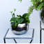 Hammered Metal Indoor Planter Bowl-35318725-35458531