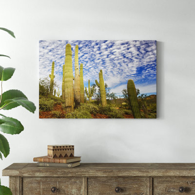 Cacti View III by David Drost - Print on Canvas