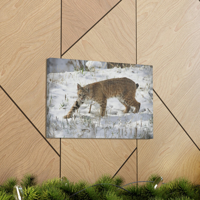 Art mural majestueux Bob-Cat, H 11 po x l 14 po