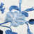 Bleuet