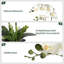 Arrangement de soie orchidée en pot-1709239945