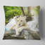 Lion blanc - coussin imprimé animal-30062236-30062240