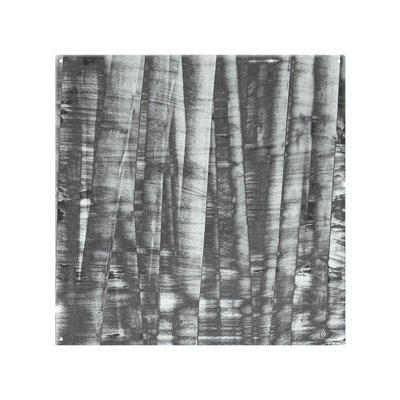 Bamboo Splash Back