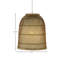 Bella Light Pendant-56126165