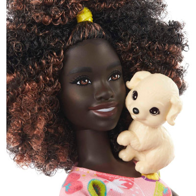 Barbie Life In The City Doll And Accessories