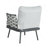 Steel Club Chair Set of 2, Gray-177728875