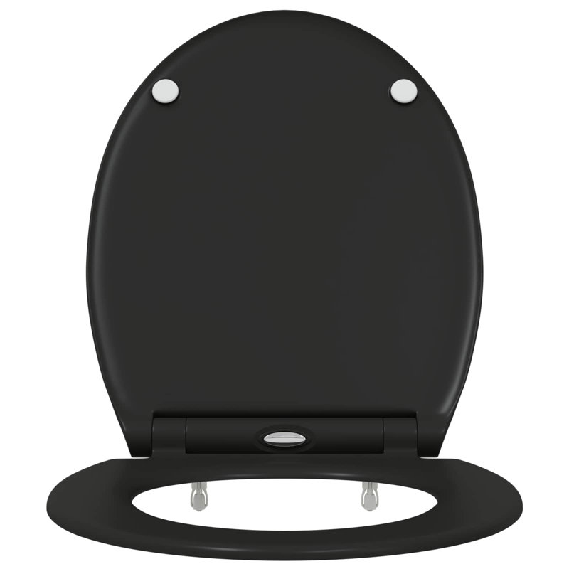 Anthracite Plastic Standard Adjustable Armrests Toilet Seat, Black