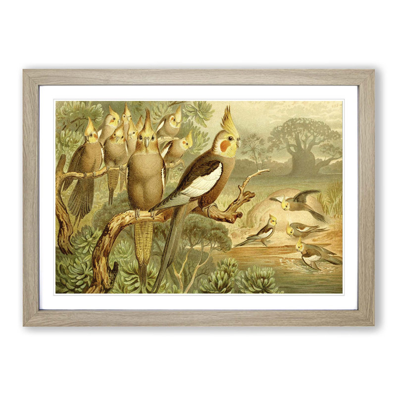 Brehms Tierleben - Single Picture Frame Painting, Oak