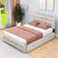 Evennie Queen Tufted Upholstered Storage Platform Bed-822475796