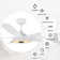 Gatha 56'' Ceiling Fan with LED Lights