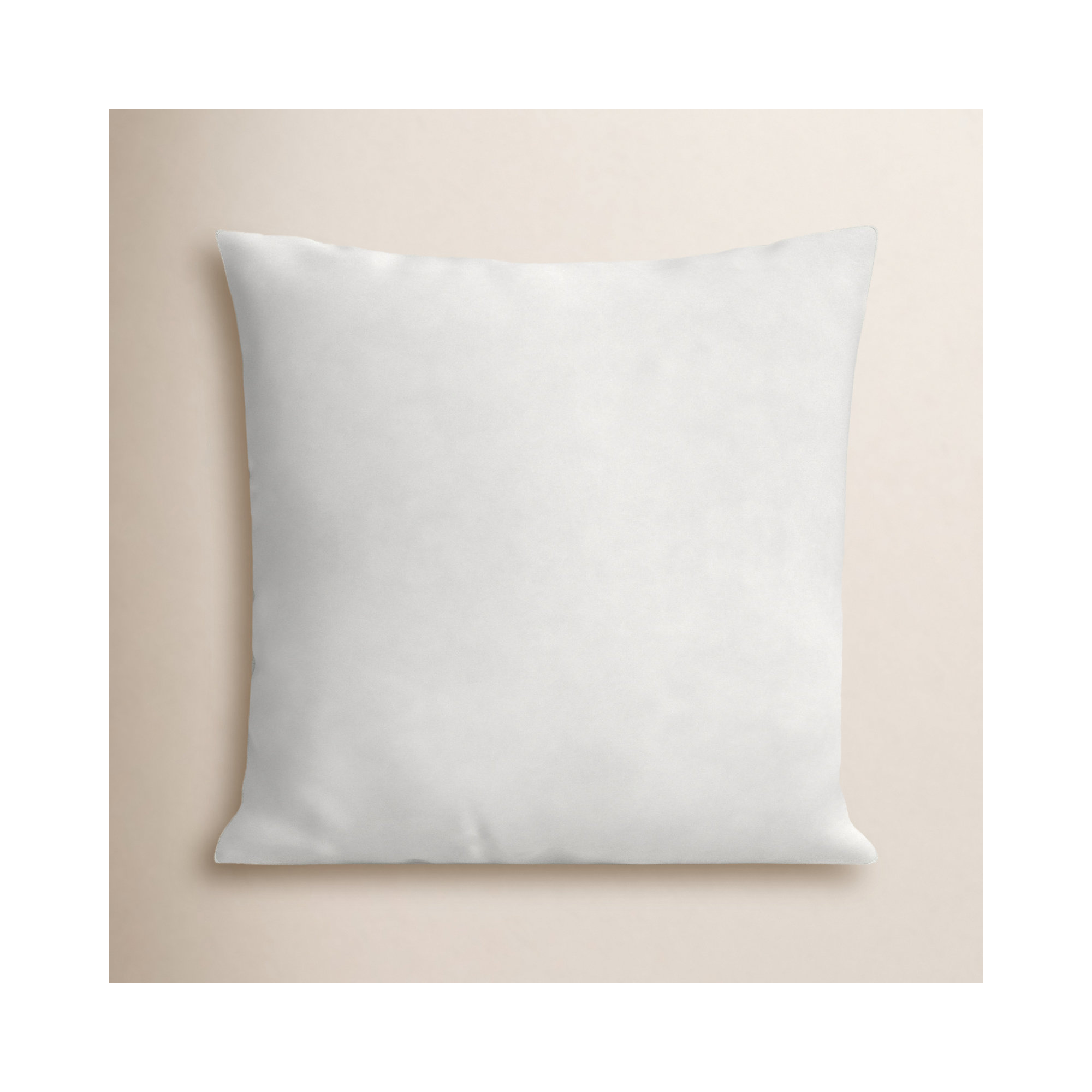 Roshina Pillow Insert, 21" x 21"