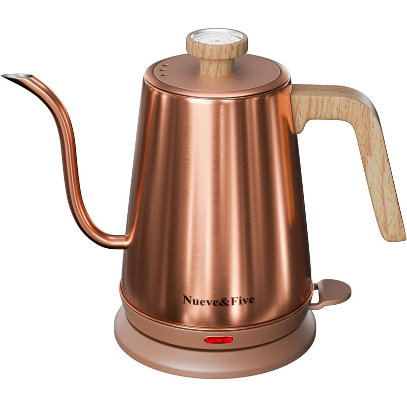 Basowin Gooseneck Electric Kettle(1.0L),1000W Electric Tea Kettle Of 304 Stainless Steel,Auto Shut Off,Coffee Kettle For Pour Over And Tea