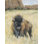 «Resident Of The Badlands II» par Pam Britton