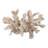 Sculpture Polyresin Coral Reef Textured Design Decorative Accent For Home Office Bedroom Living Room Display - 8" Ivory