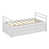 Blanc est en rupture de stock