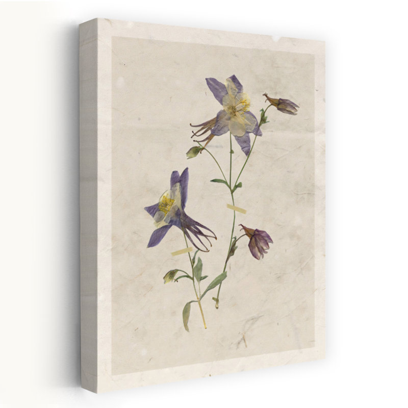 Art mural fleur pressé Columbine II, H 18 po x l 12 po