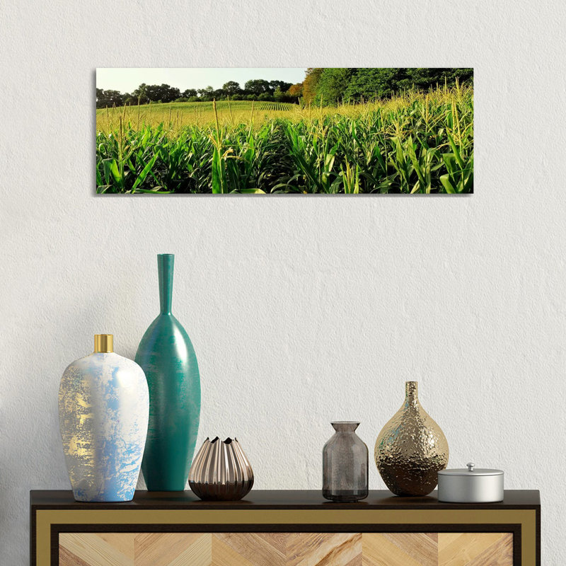 Cornfield, Baltimore County, Maryland, USA - Wrapped Canvas Panoramic Print, 30.48 cm H x 91.44 cm W x 1.91 cm D