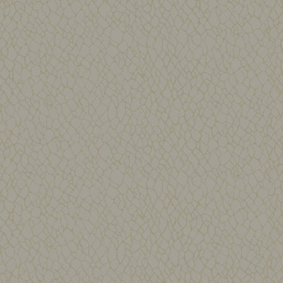 Boutique Metallic Webbing Wallpaper Roll