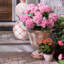 Rosy Stripe Tabletop Urn