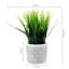 22.86cm Faux Onion Grass Grass
