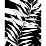 Floral Wallpaper
