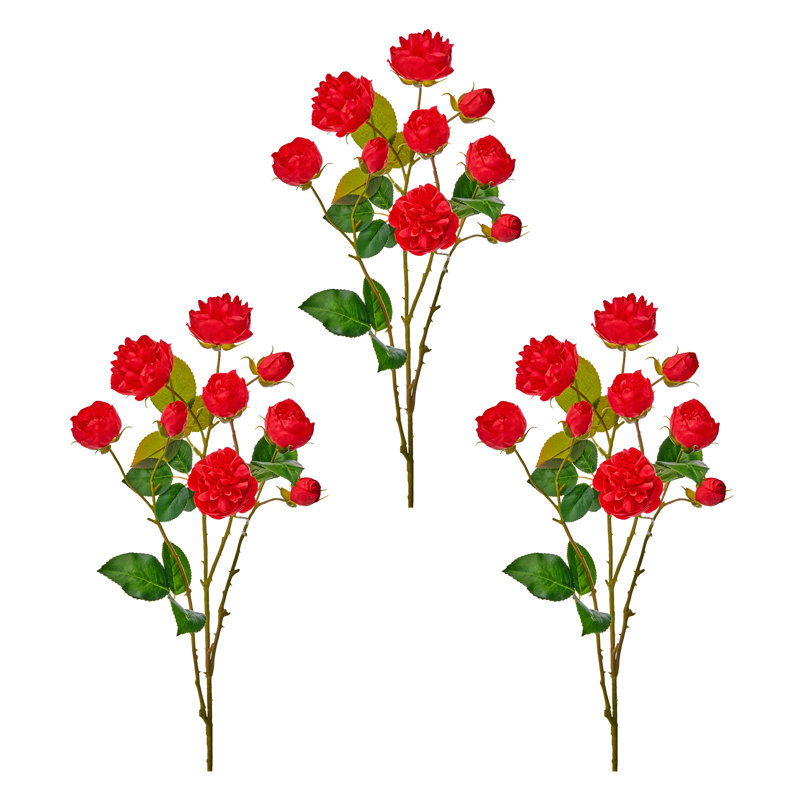 Tige de rose 25 po Ramblin , Rouge