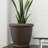 Pot Planter