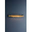 Hayden 1 - Light LED Flush Mounted Sconce