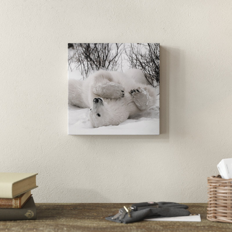 «Hudson Bay Bear», photographie, Toile tendue, H 10 po x l 10 po x P 1,5 po