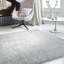 Natonia Shiny Shaggy Silver Area Rug-377589566