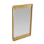 Hart Rectangle Brass Beveled Mirror