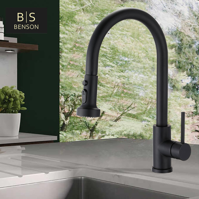 Robinet de cuisine rétractable à poignée simple à 2 fonctions de style commercial en acier inoxydable, Noir mat