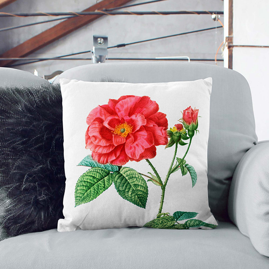 Blooming French Roses by Pierre-Joseph Redoute Cushion with Filling