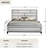Burrigan Stout Contemporary Wood Panel Bed-1786376704