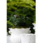 Grand pot à fleurs rustique blanc