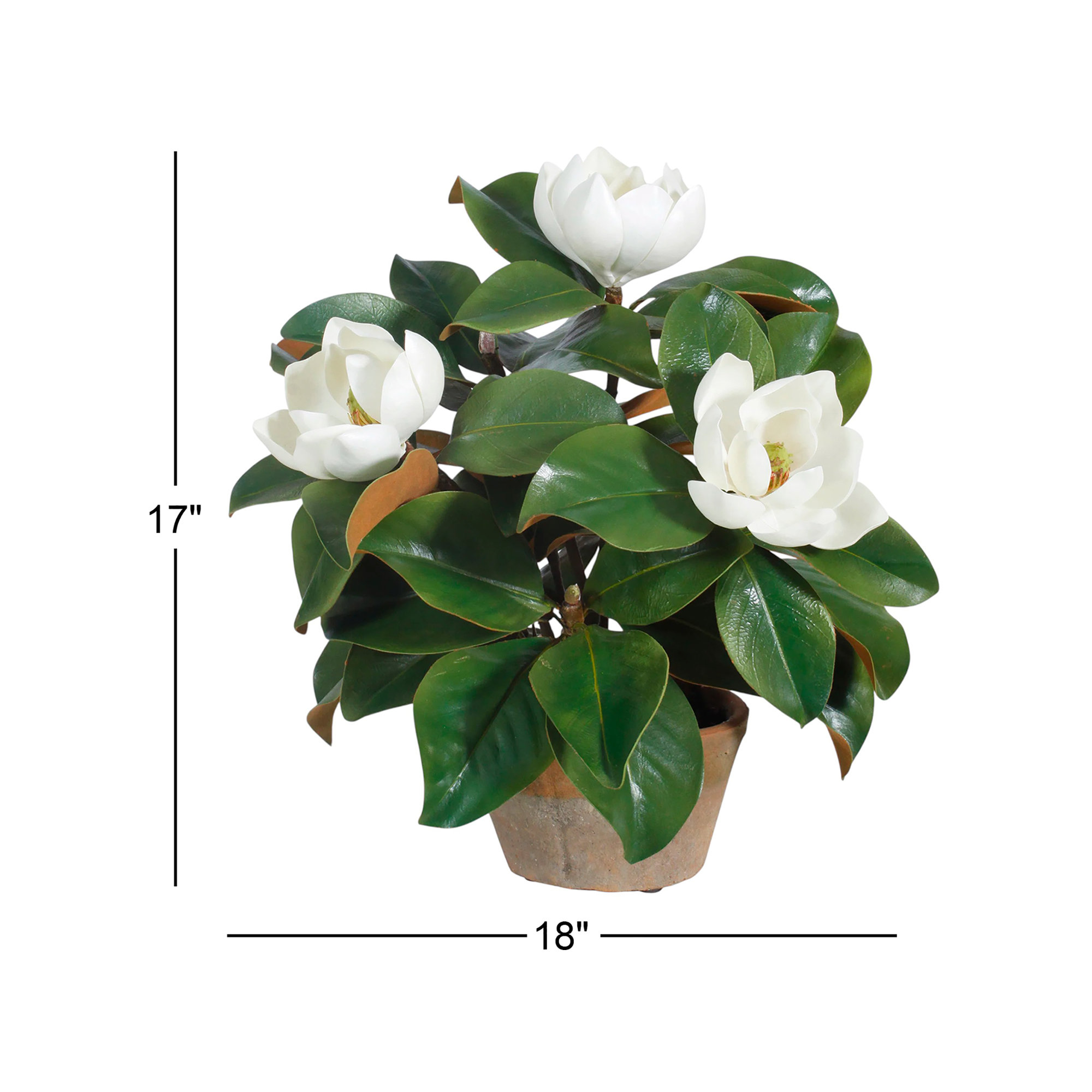 Garden Magnolia Floral Arrangement in Planter, 17" H x 18" W x 18" D