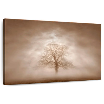 Arbre Harnek à la lumière maussade en sépia