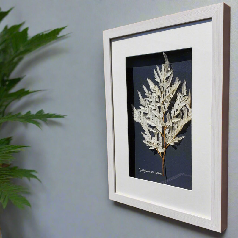 Boîte à ombre botanique - feuille délicate (12 x 16 po)