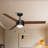Jet3 52" Indoor Matte Black Ceiling Fan with Reversible Walnut/Black Blades, LED Light-1818465591-1818465587