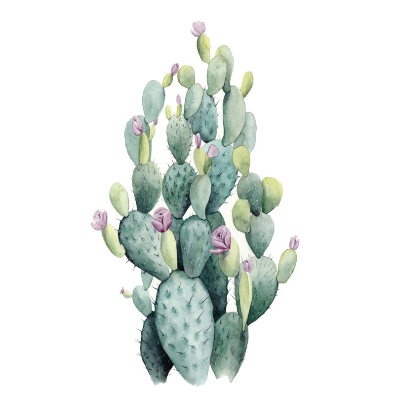 Desert Blooms I by Grace Popp - Painting on Canvas, 122cm H x 81cm W, Black Floater Framed