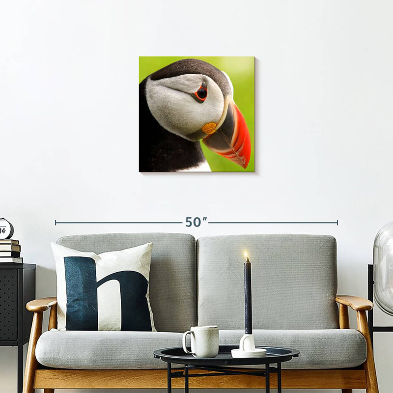 Brampt Wild Puffin, 20" H x 20" W