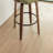 Huneycutt Mid-Century Modern Rattan Bar Stools With Upholstered Seat（Set Of 4)-2033474111-2033474108