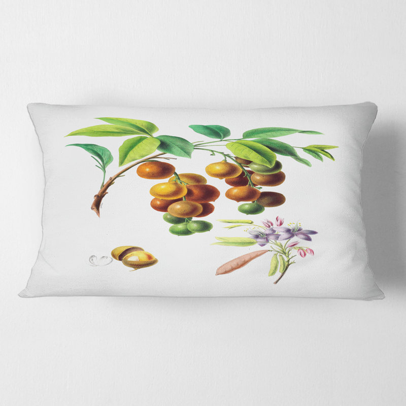 Coussin Rectangle, Vintage Fruits III - Farmhouse