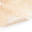 Harland Cowhide Animal Print Area Rug in Ivory
